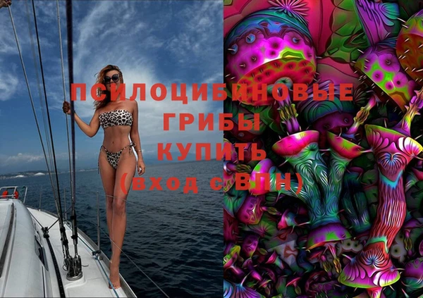 хмурый Абаза