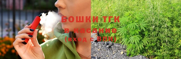 хмурый Абаза