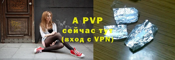 хмурый Абаза